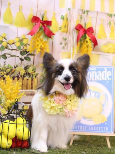 20240429マリーちゃん